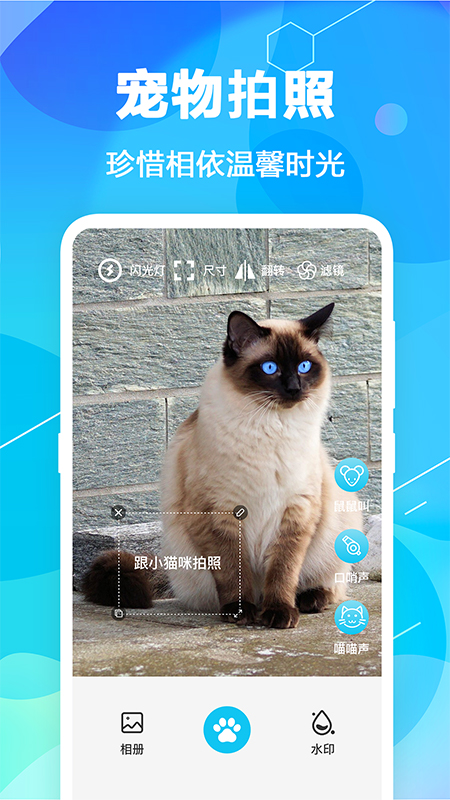 猫语翻译截图