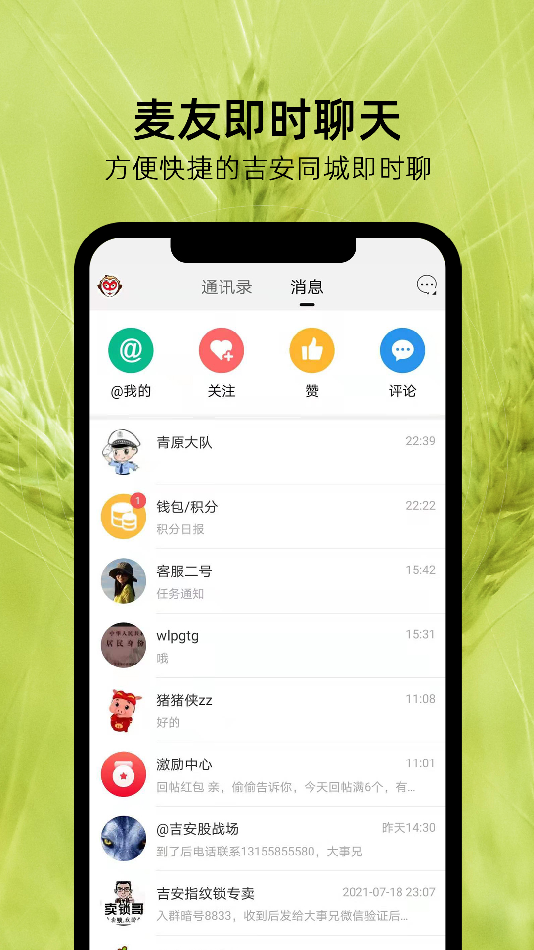 麦地网截图