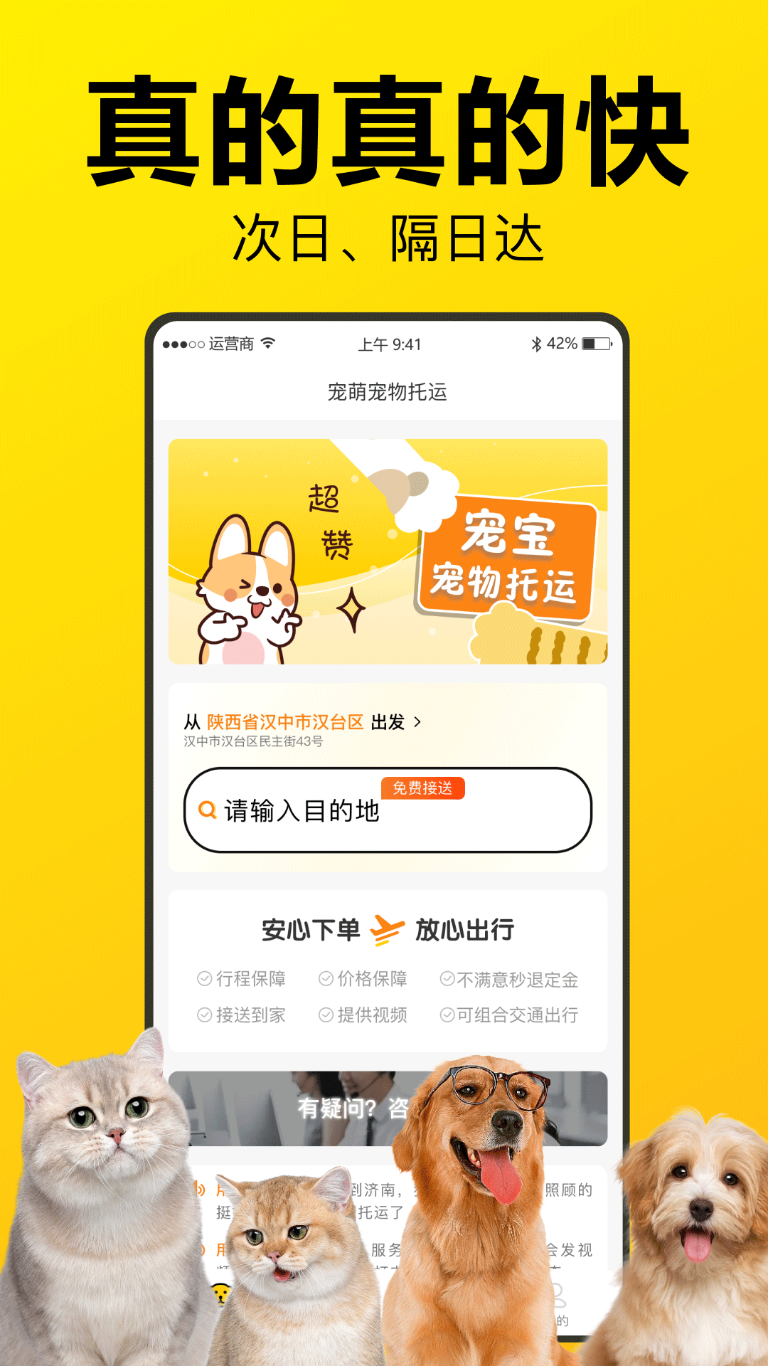 宠宝宠物托运截图