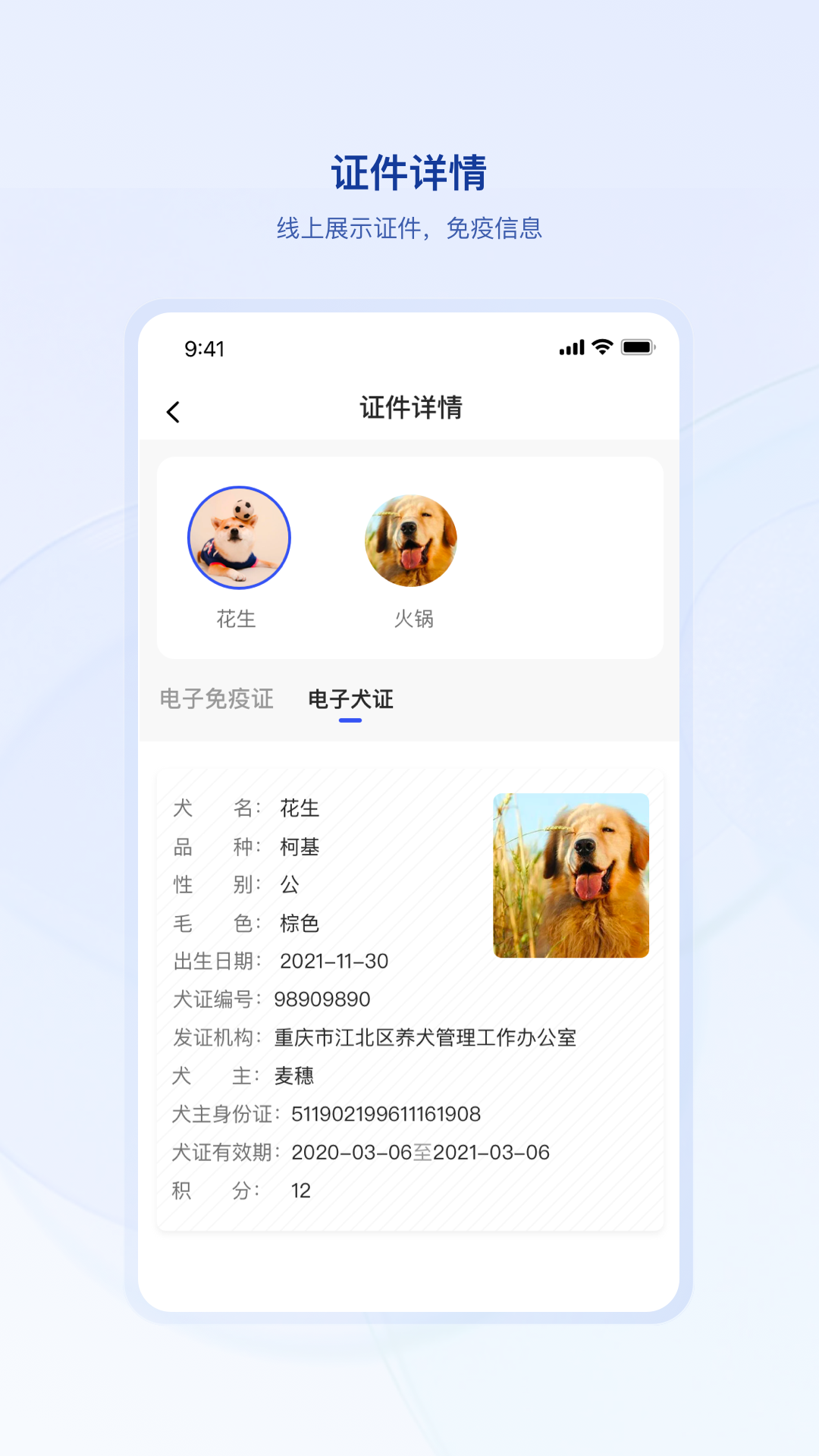 狗联网截图