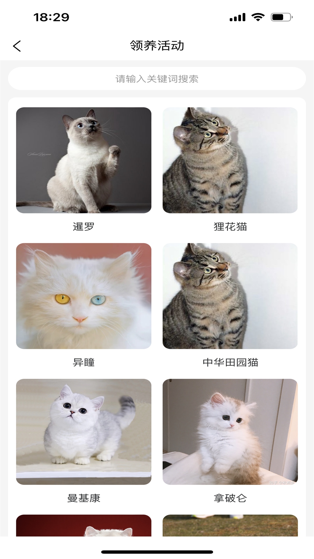 宠哩吖商城截图