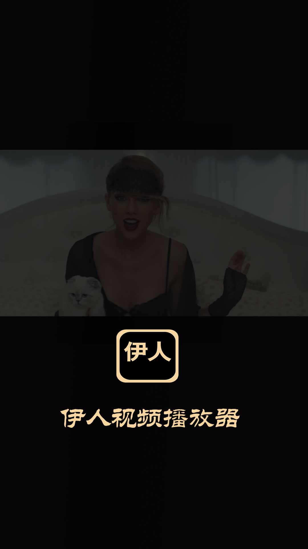 伊人视频播放器截图