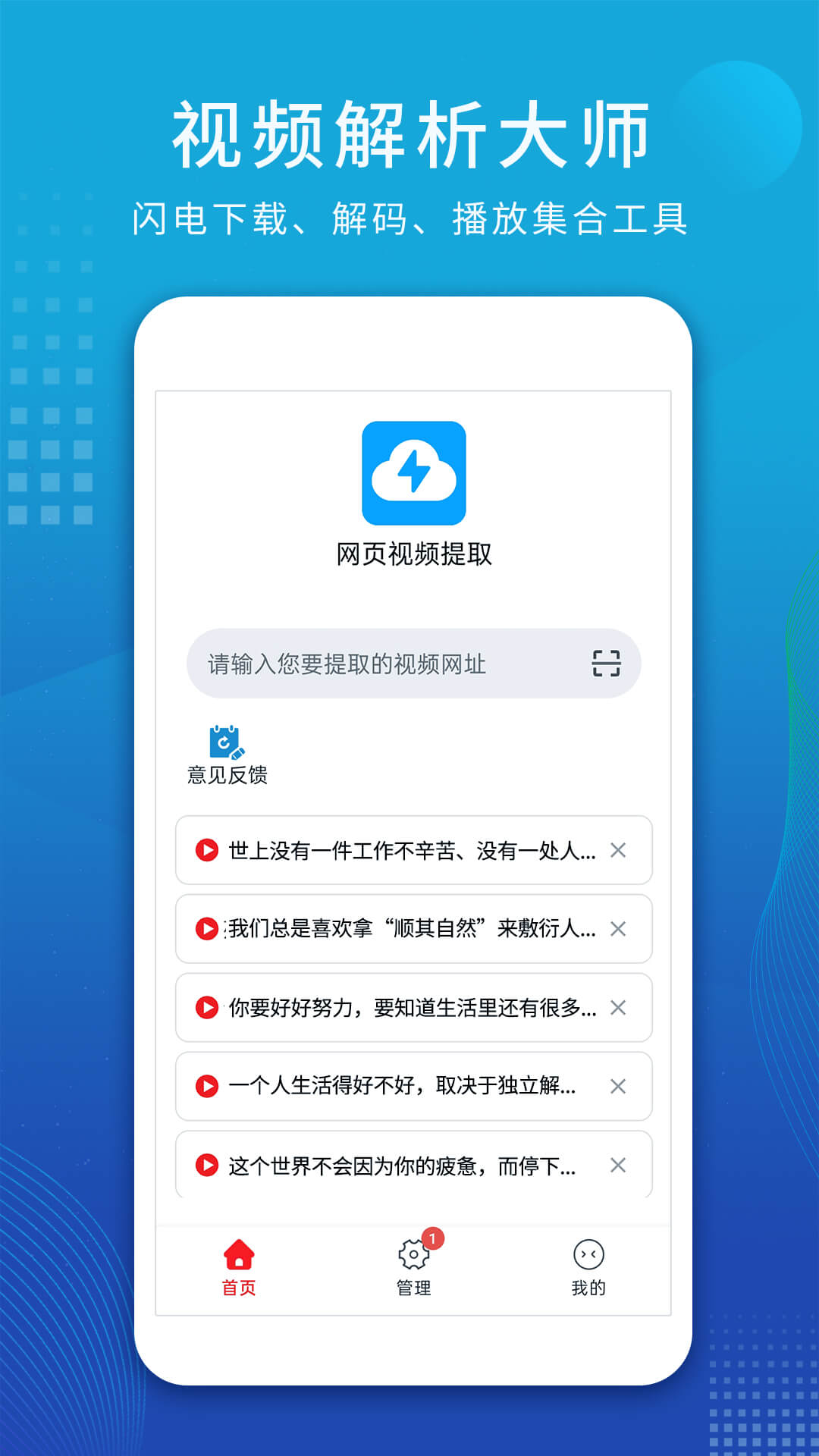 视频解析大师截图