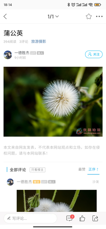 智慧仪陇截图