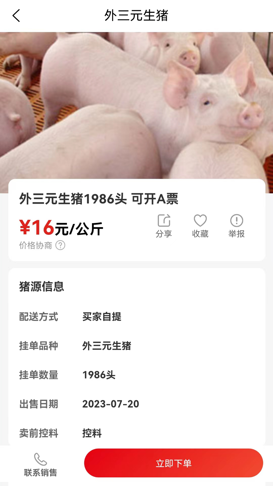 国家生猪市场截图