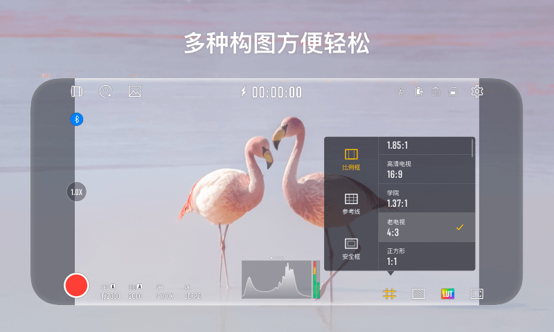 StaCam截图