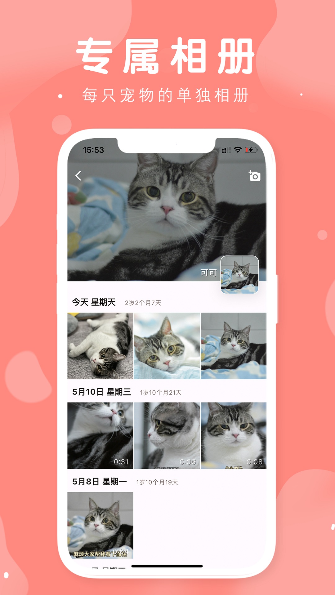 有宠截图