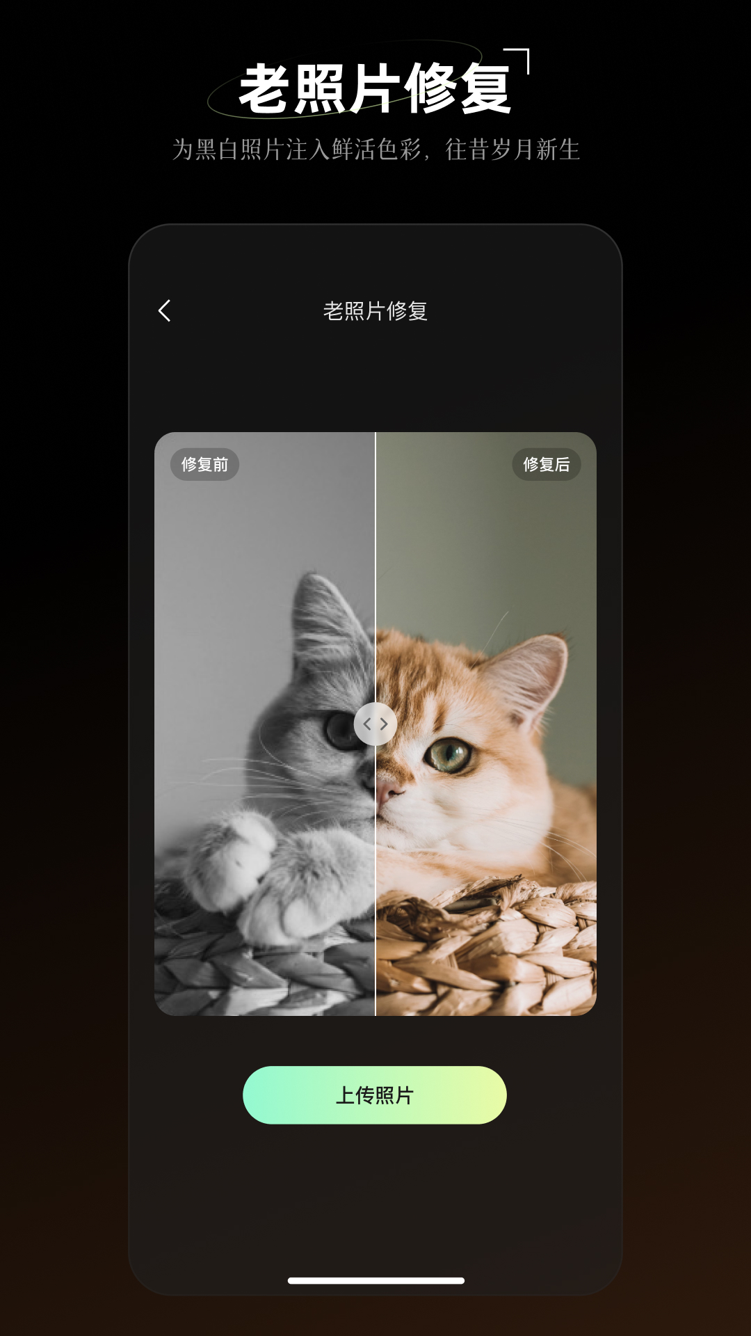 炫彩工坊截图