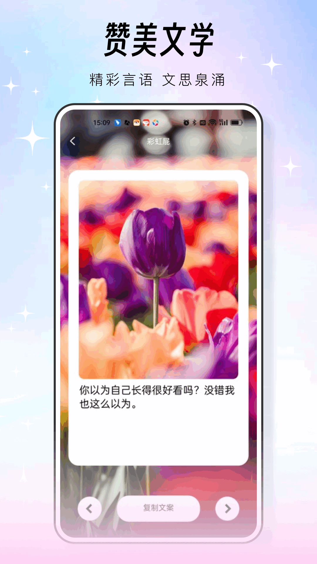 蝙蝠聊天截图