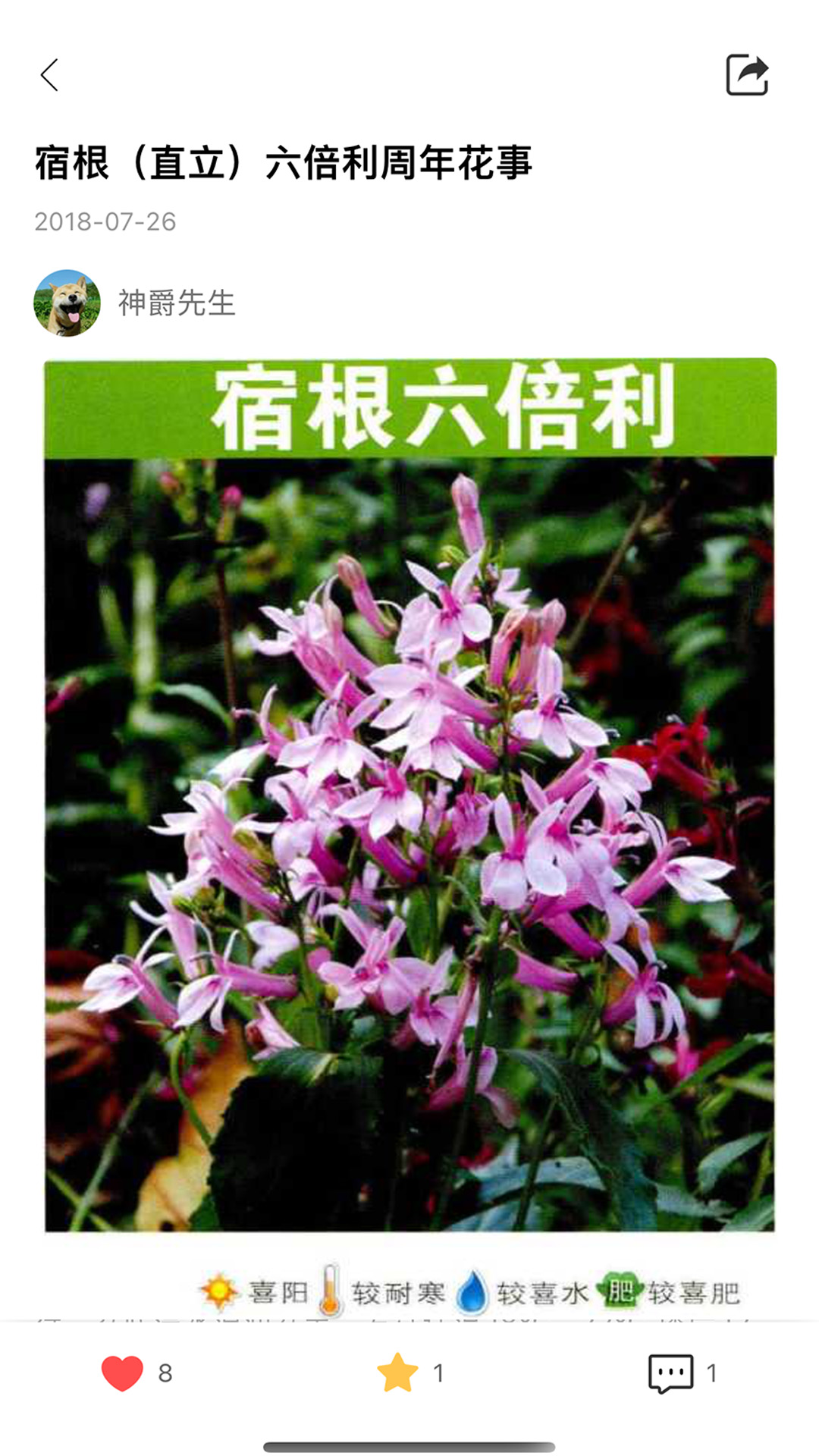 花信截图
