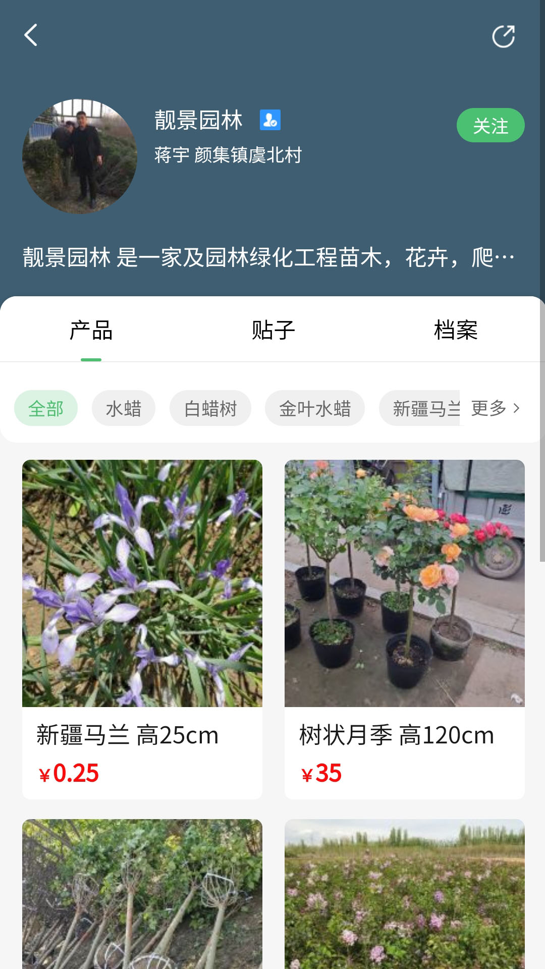 苗青青截图