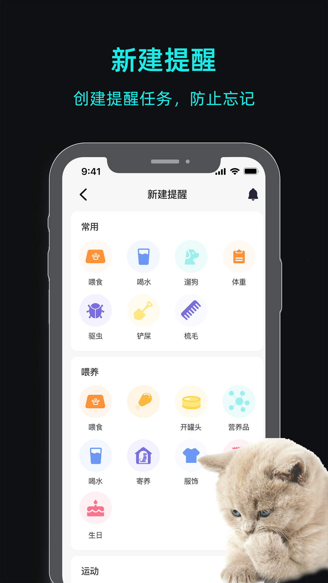 一聪小白截图
