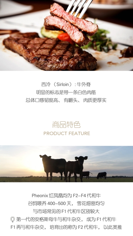 普冷库购截图