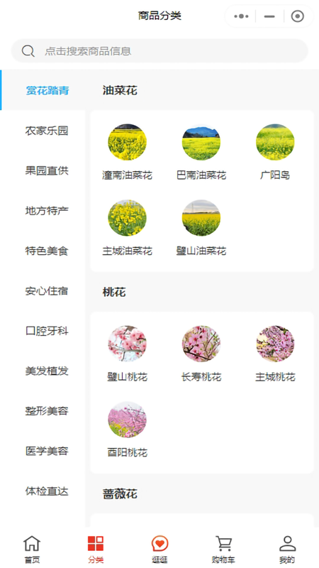 乡见美截图