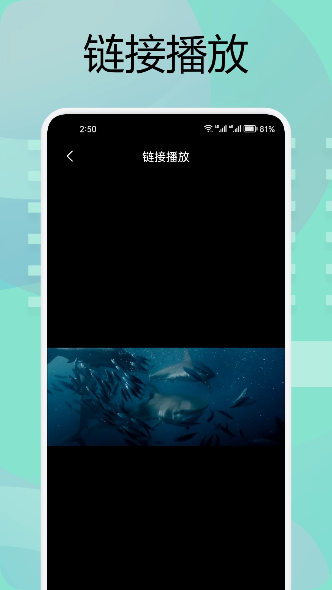 雪豹视频截图