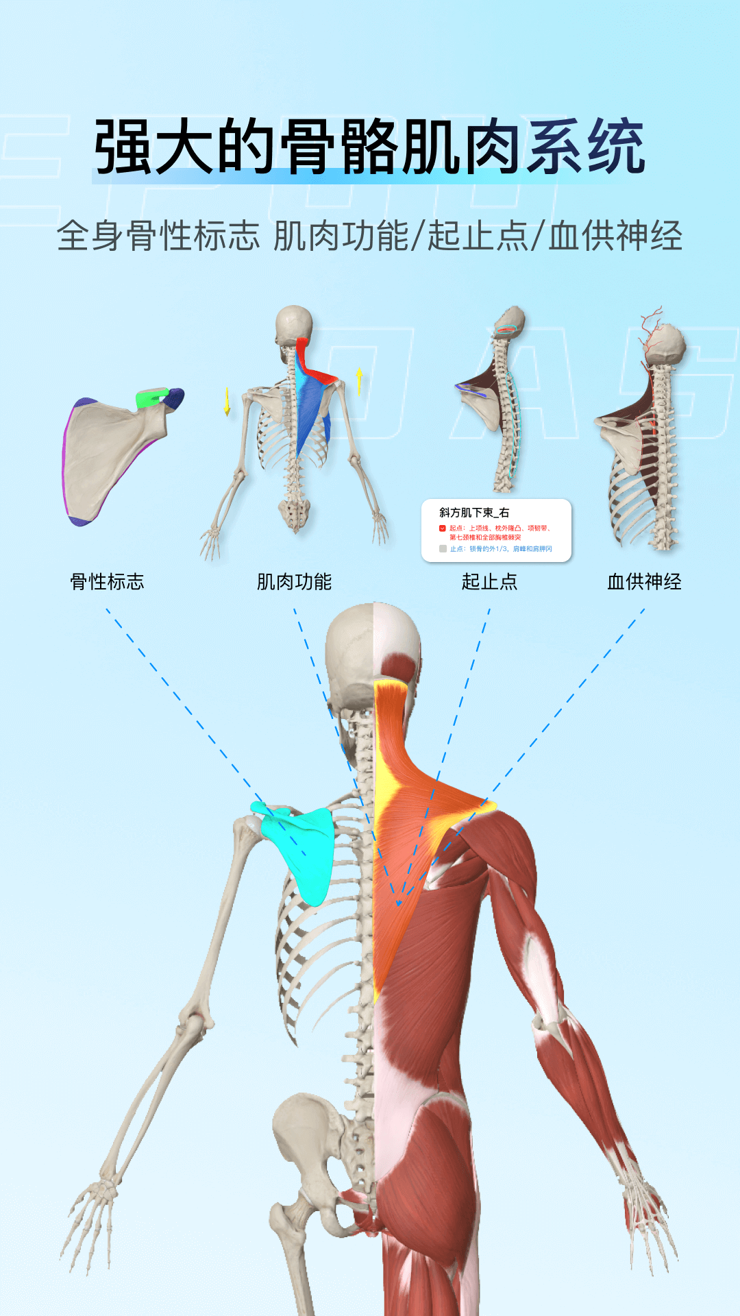 解剖大师截图