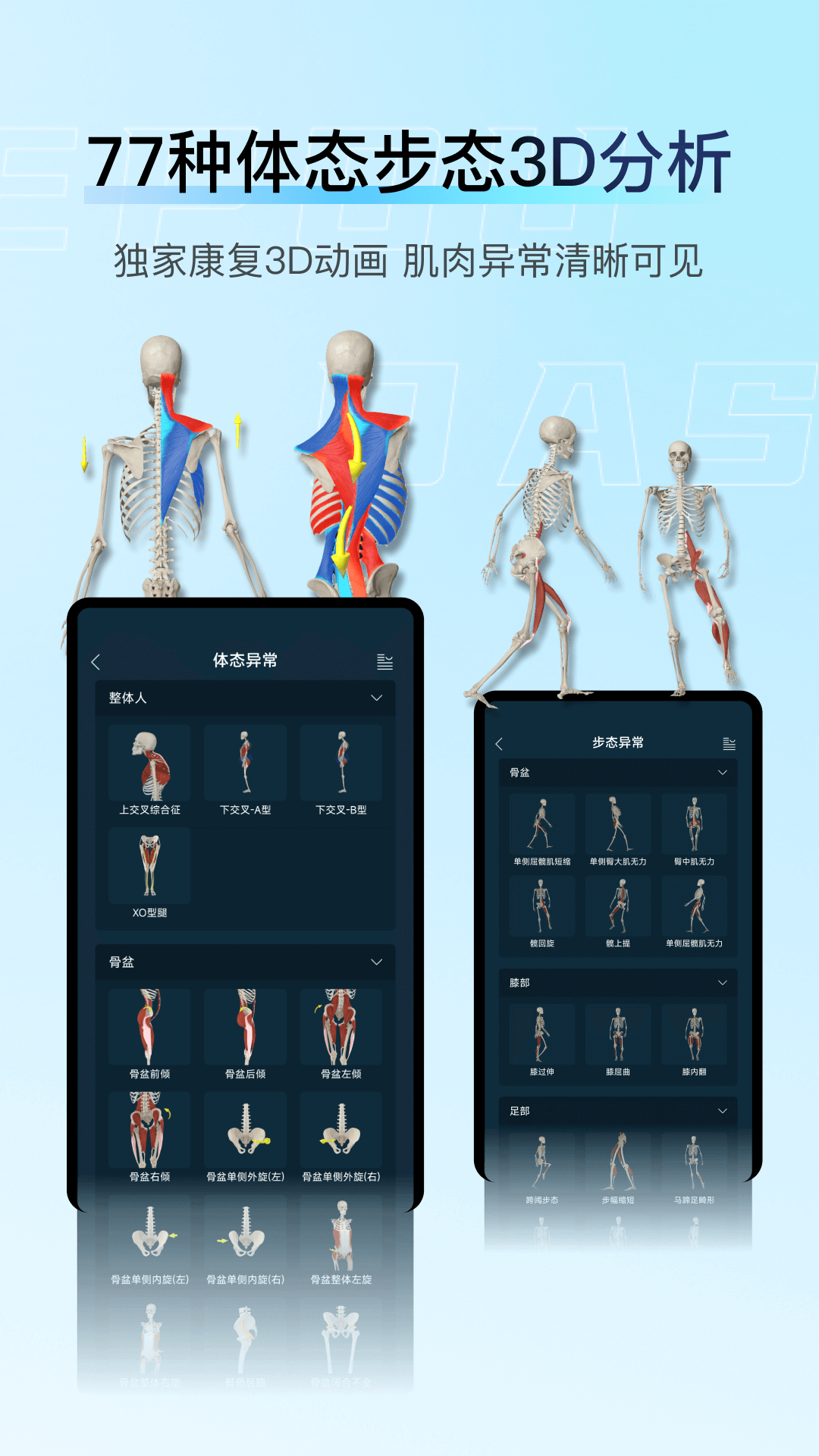 解剖大师截图