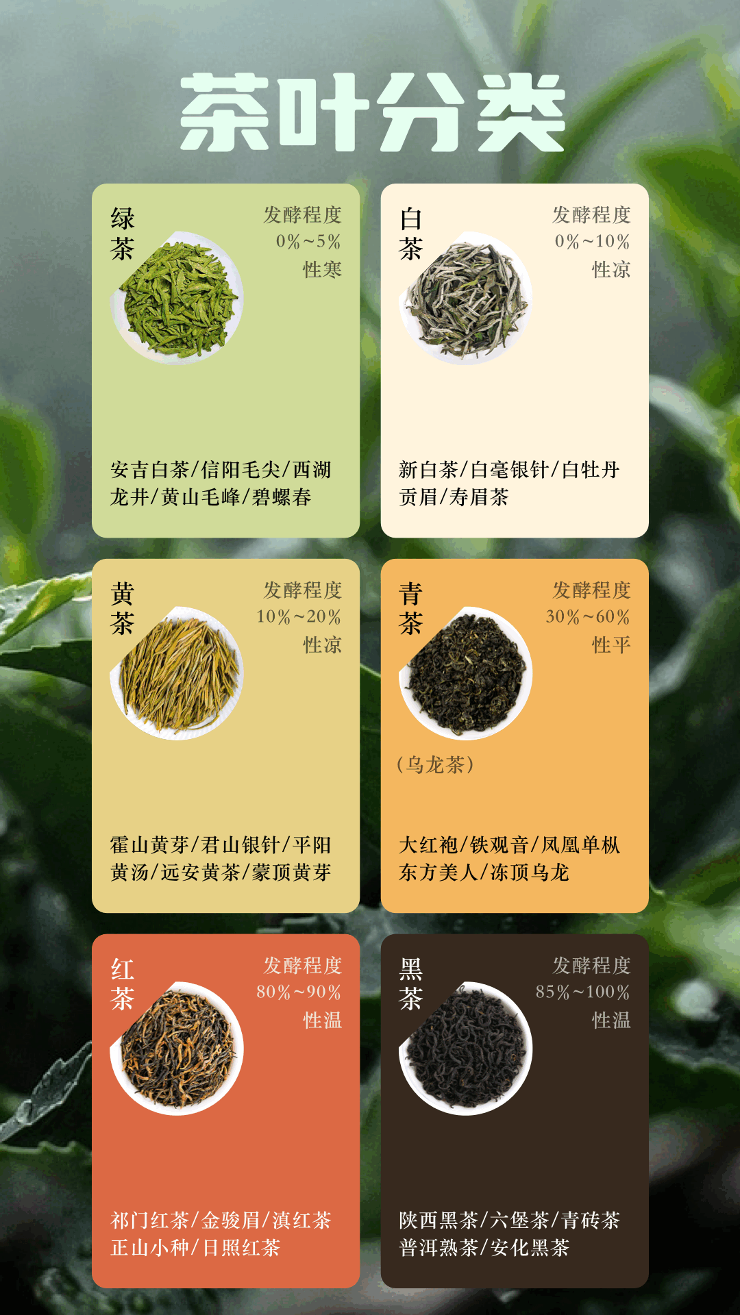 悠悠茶园截图