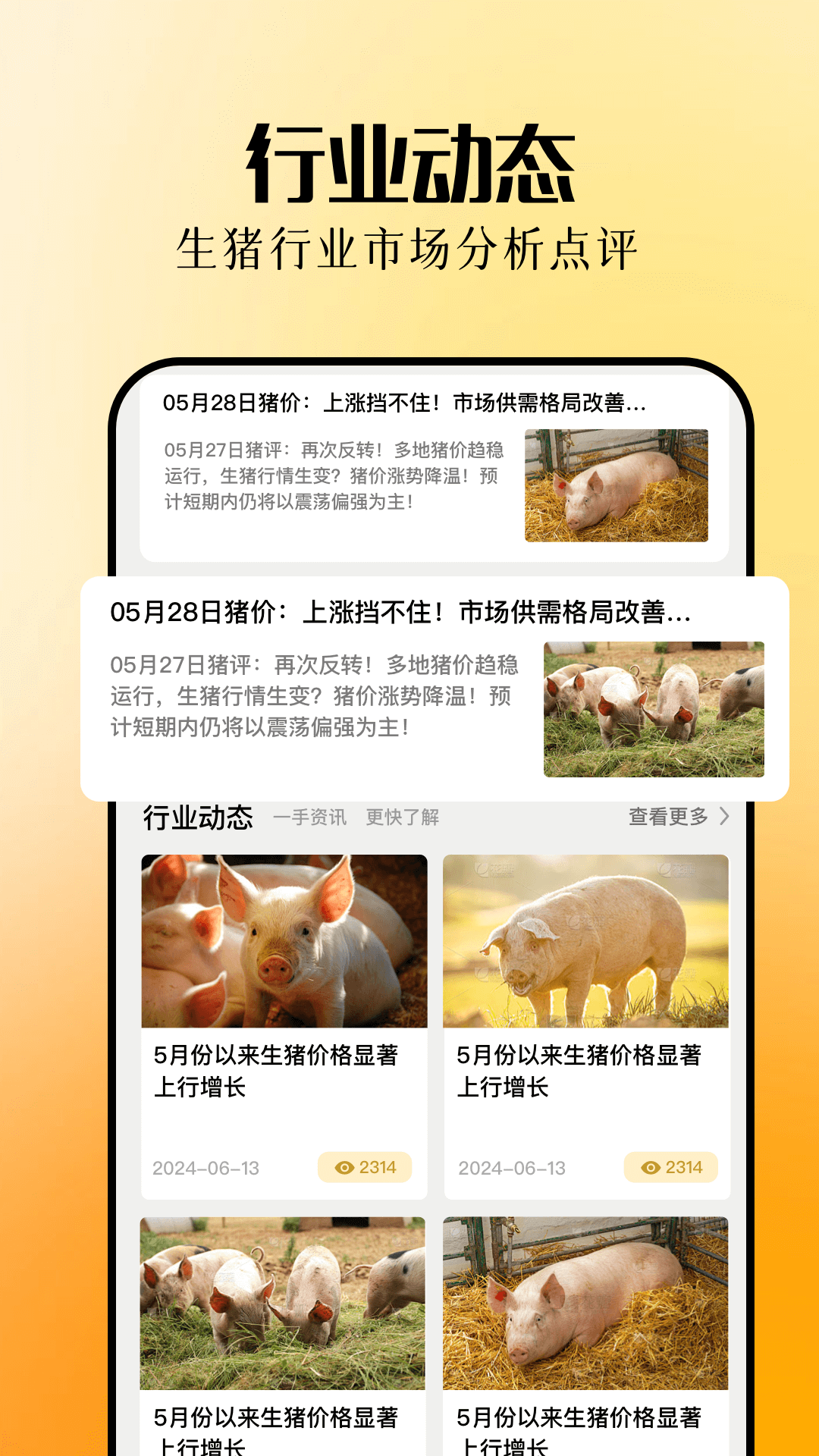 欢乐养猪场截图