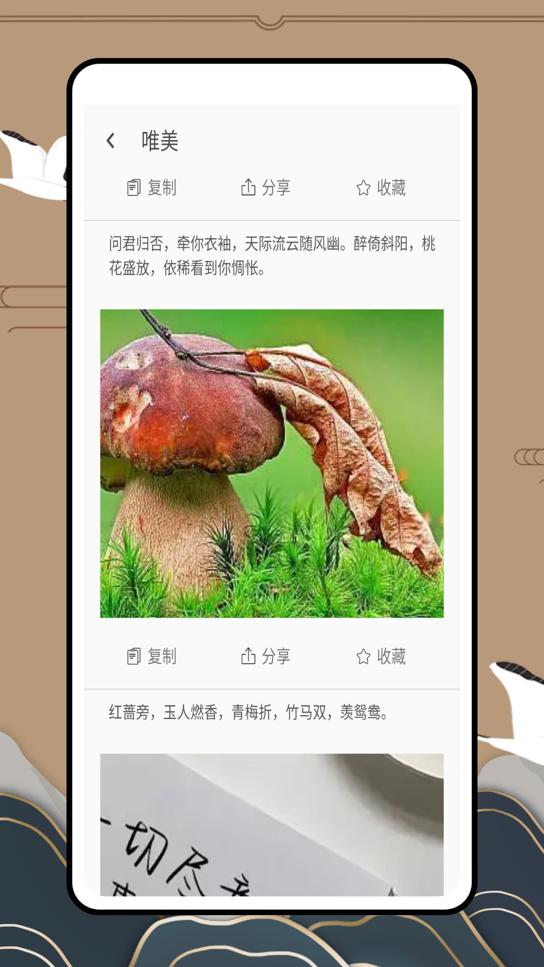 引起共鸣截图