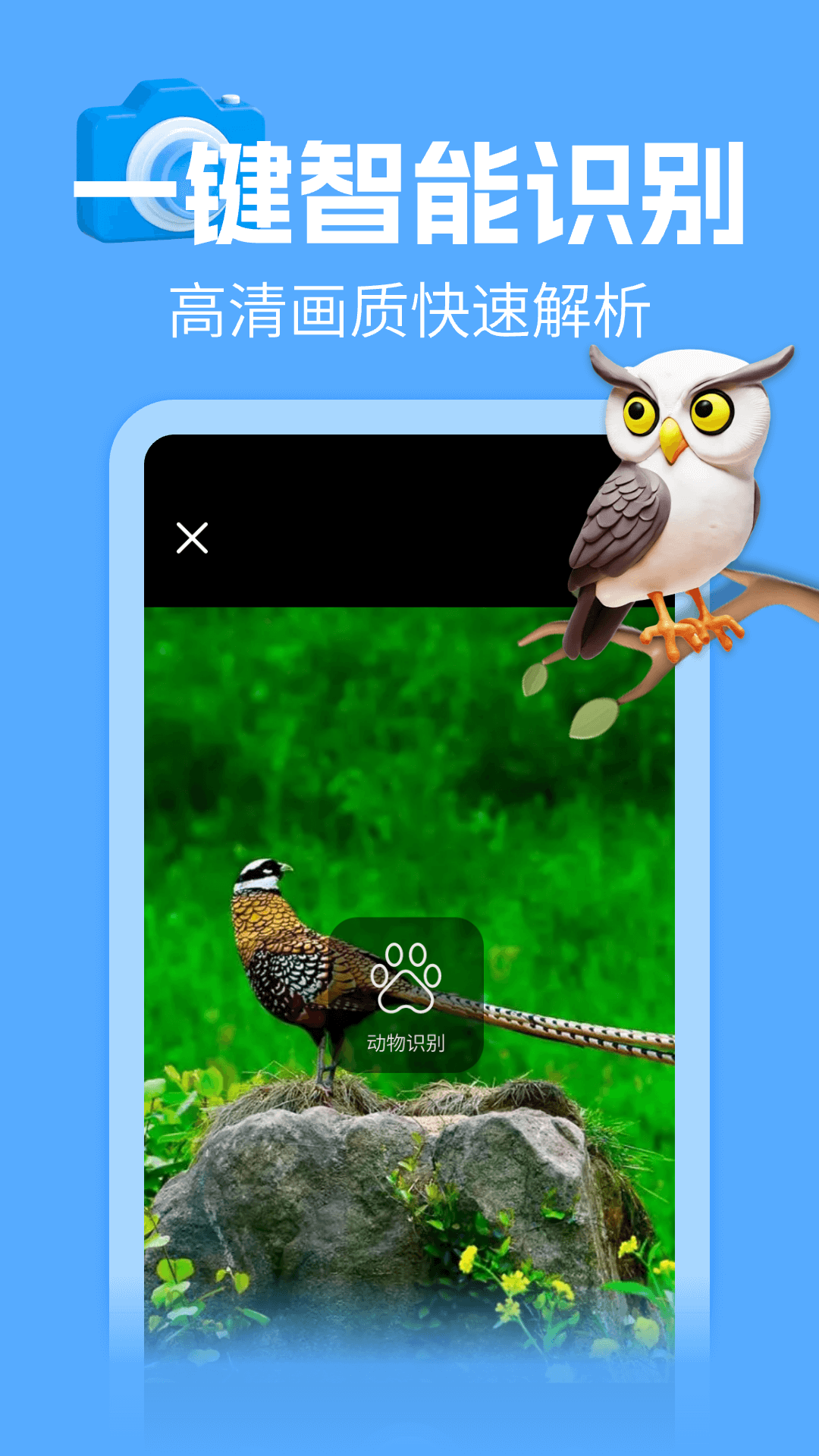 动物百科大全截图