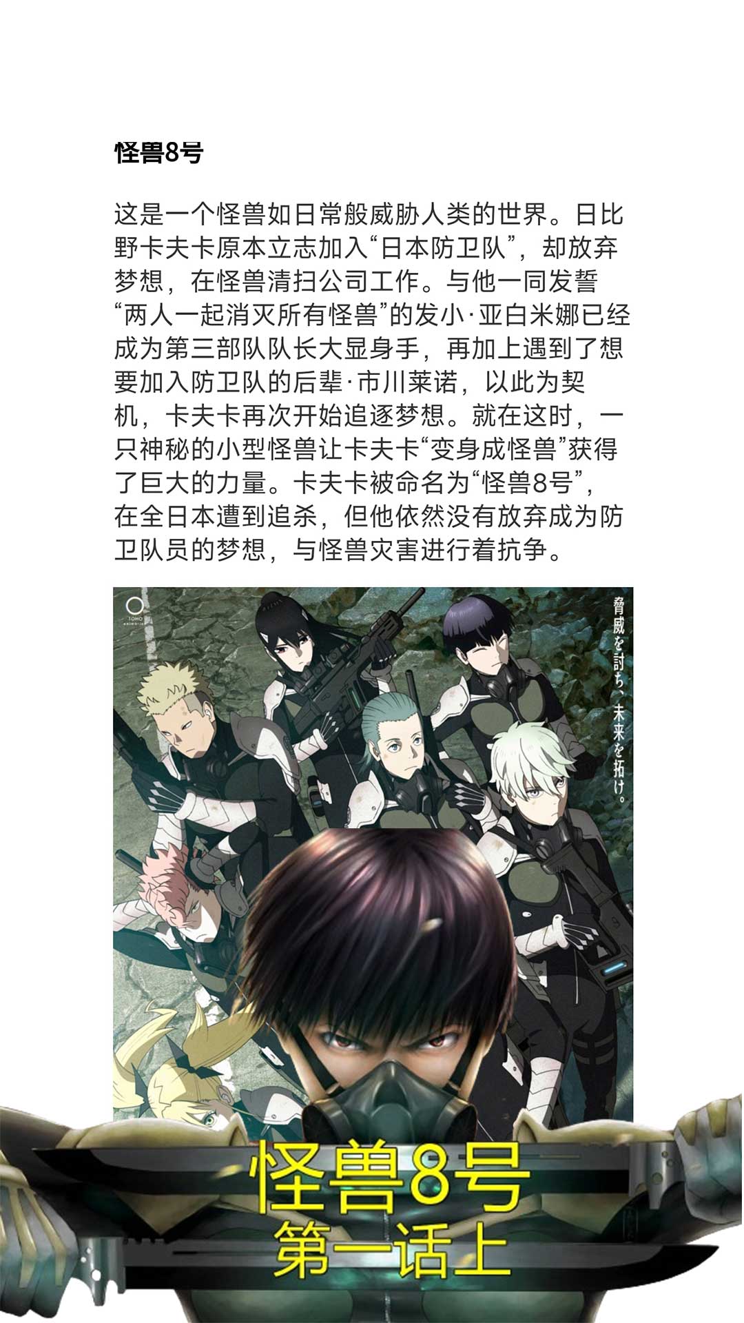 蜂王小说阅读器截图
