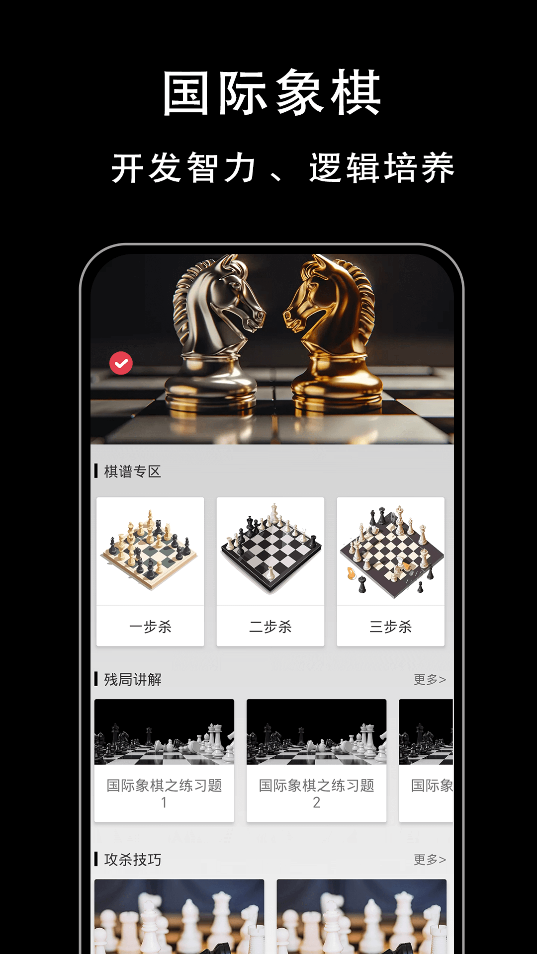 国际象棋入门截图