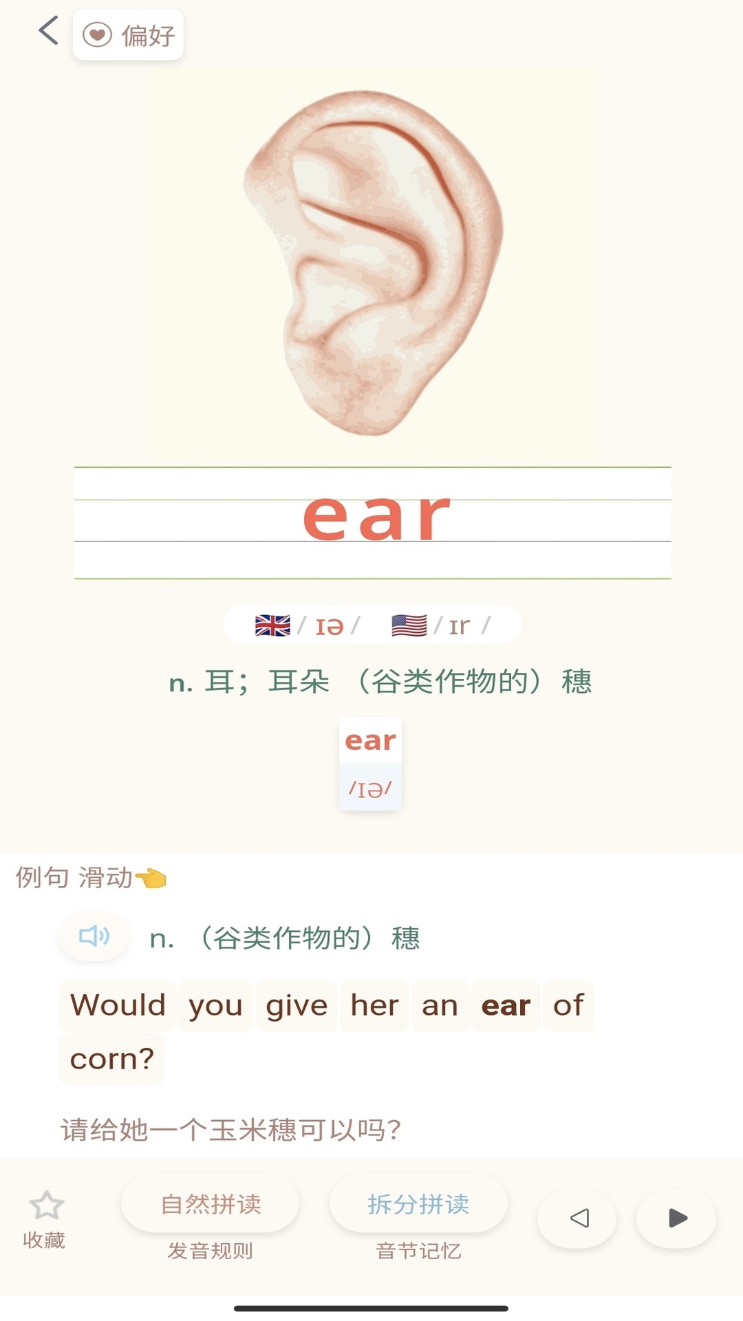 轻记单词截图