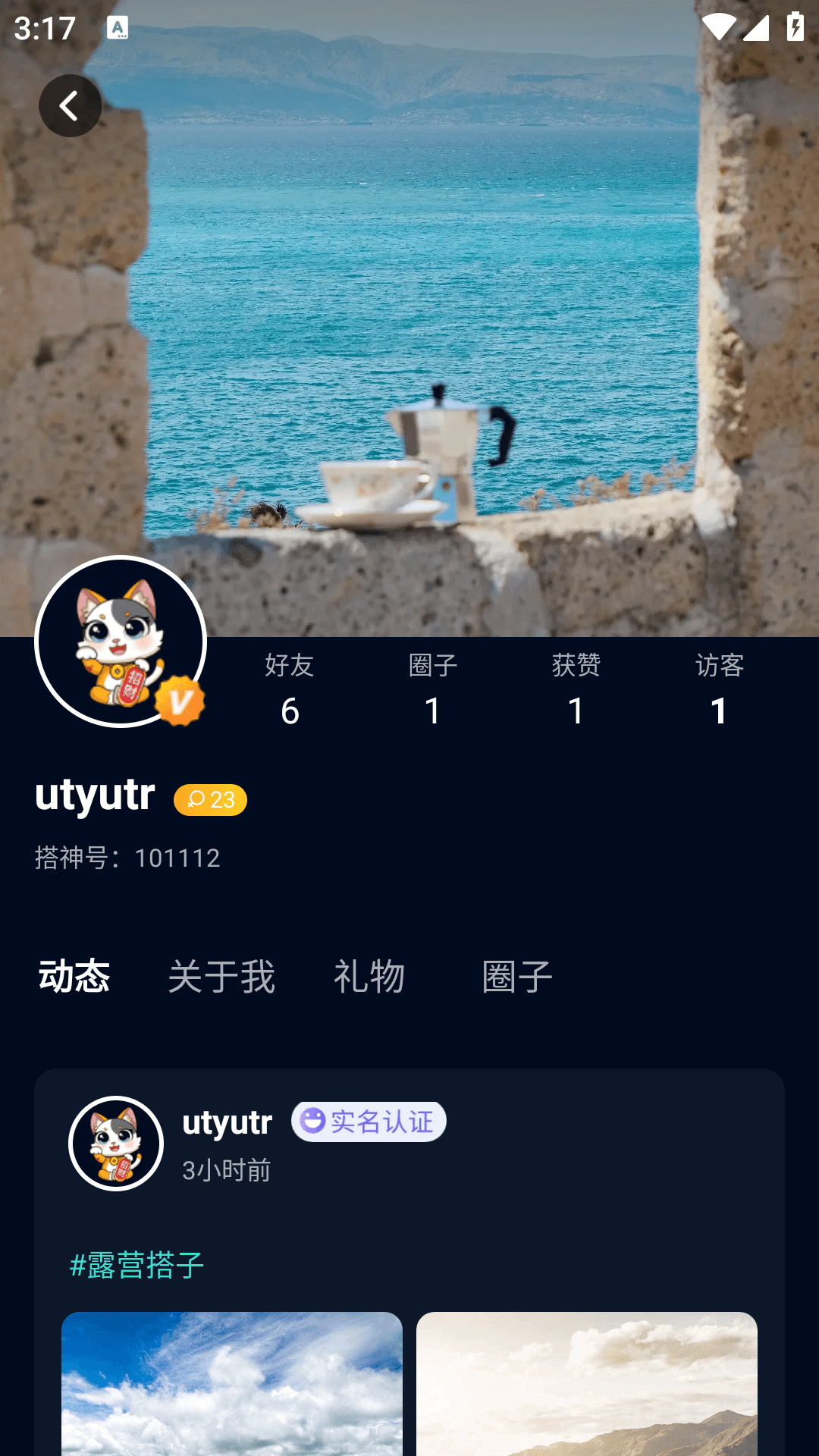 搭神截图