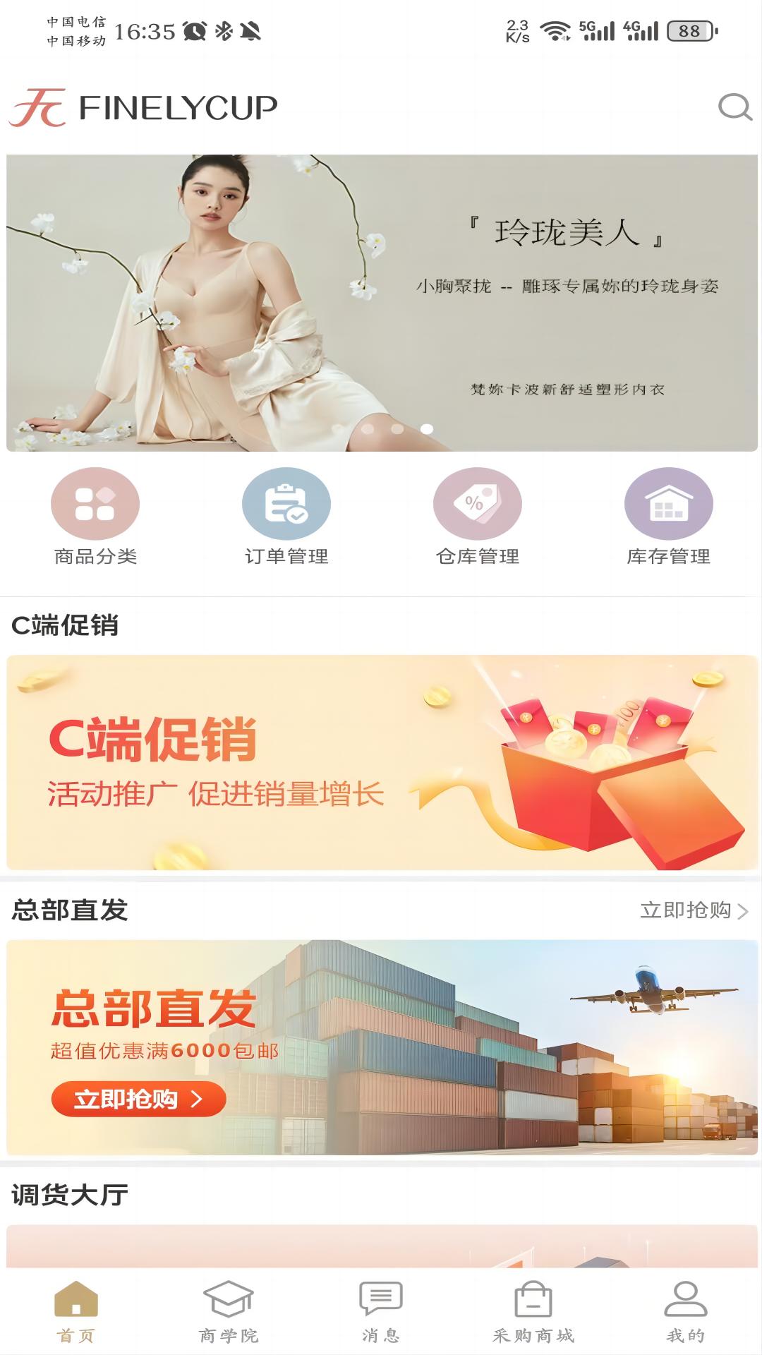 梵妳卡波截图