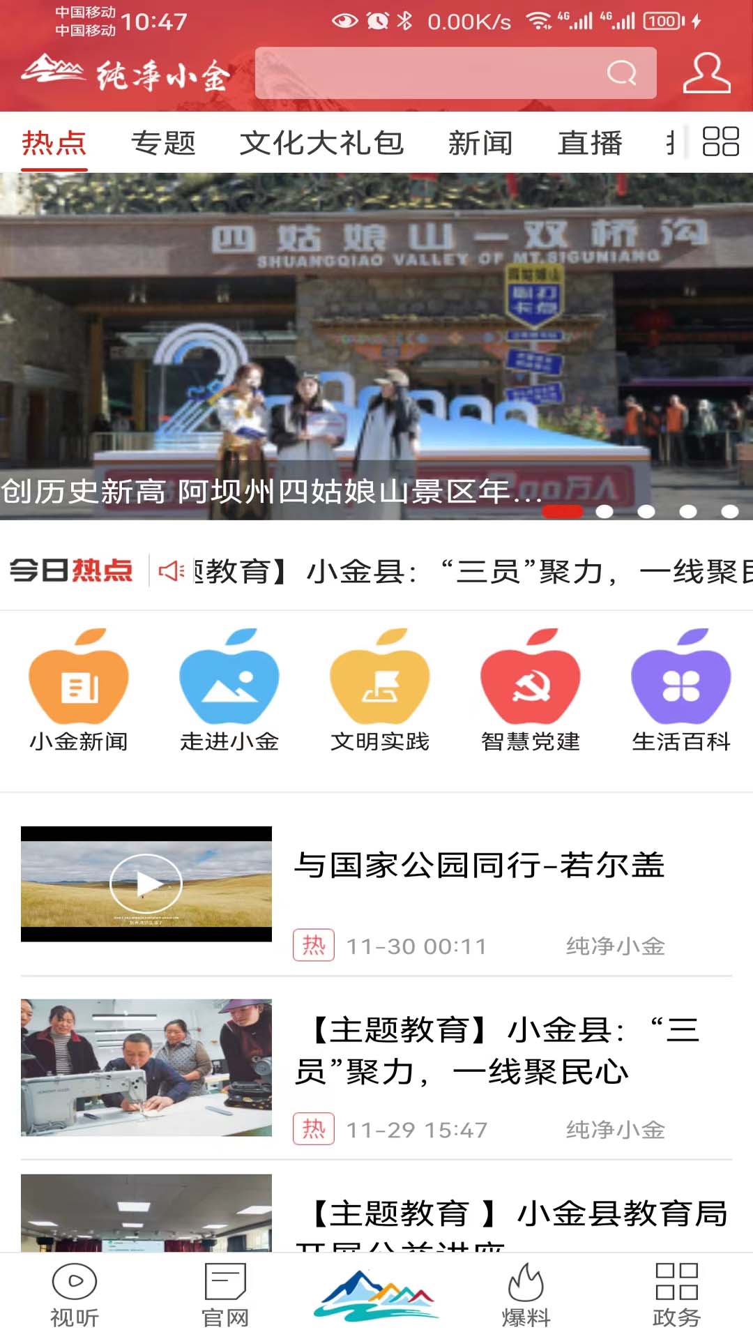 纯净小金截图