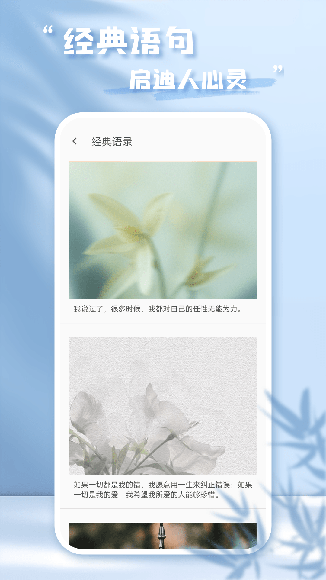 每日语录截图