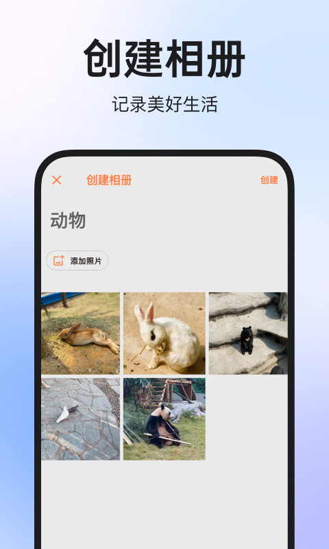 图公主截图