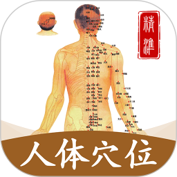 穴位经脉详解