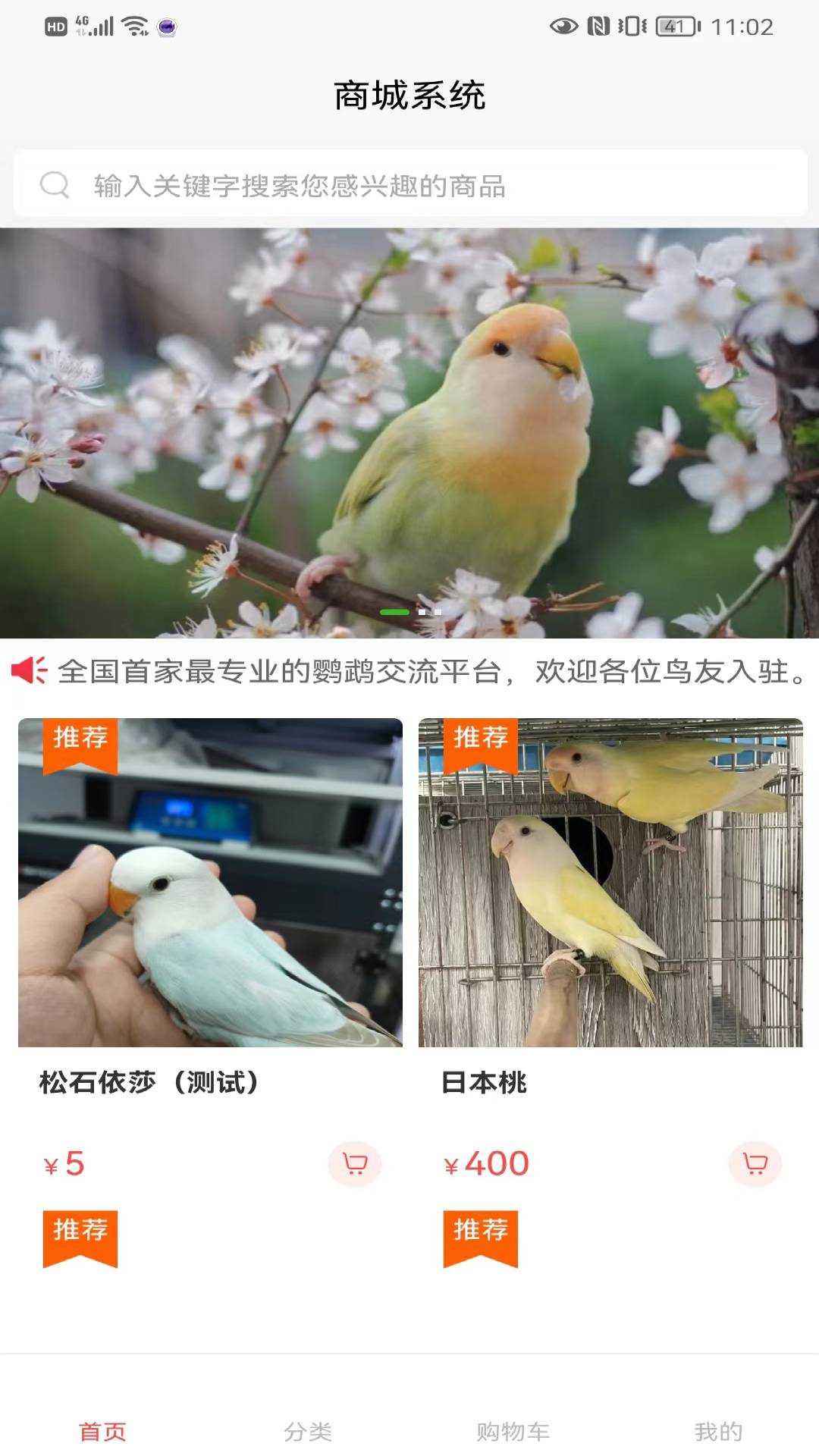 鸟园截图
