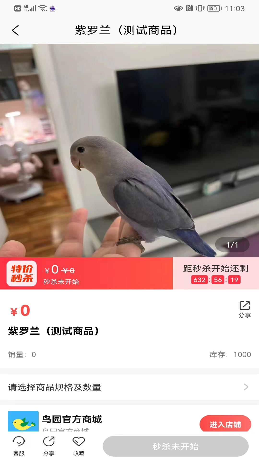 鸟园截图