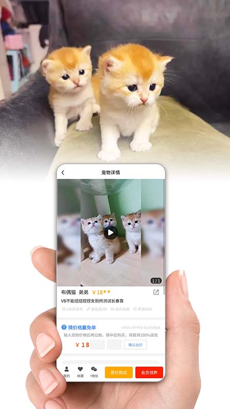 集咪舍截图
