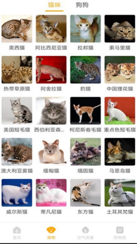 韶光相机截图