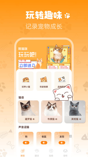 Peppycat宠物翻译器截图