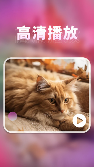 密影速播播放器截图
