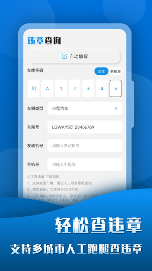 查违章123截图