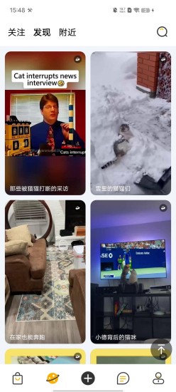 宠物元截图